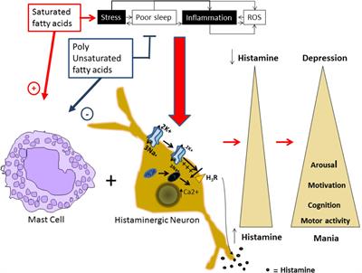 Are Polyunsaturated Fatty Acids Implicated in Histaminergic Dysregulation in Bipolar Disorder?: AN HYPOTHESIS